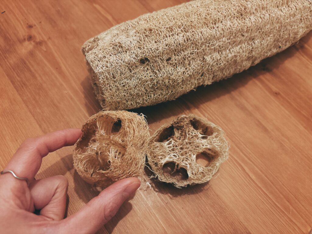 道の駅いたこで出会ったヘチマ