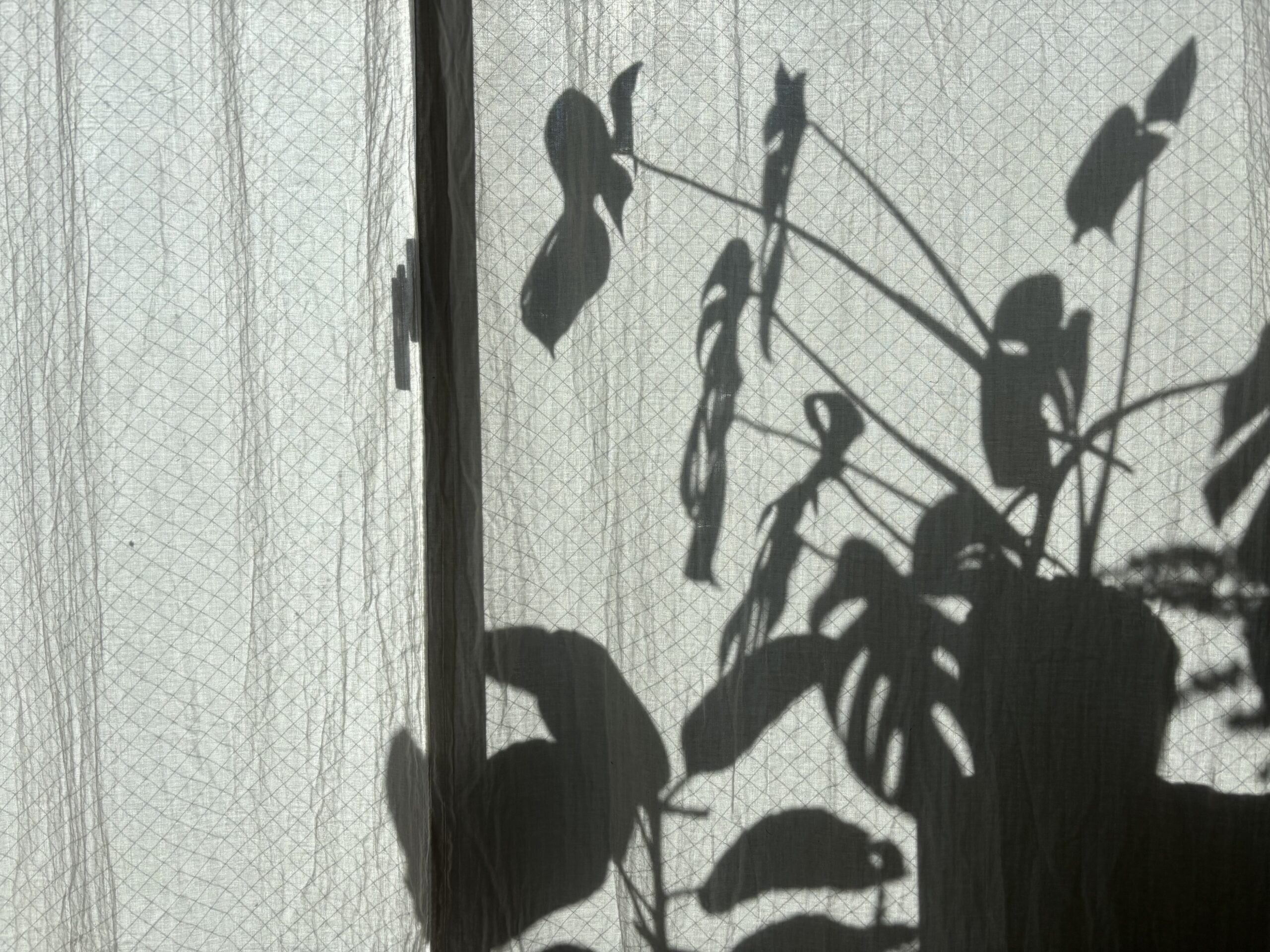 午前中の日差しが入るリビングが好き