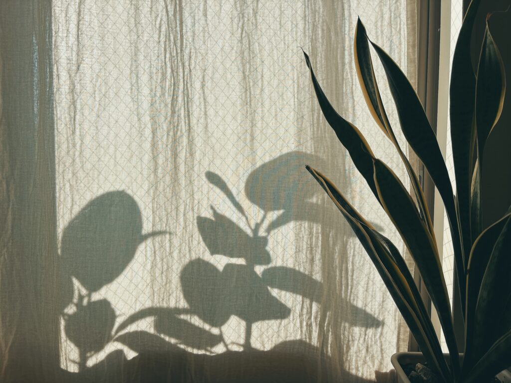 朝日の入るリビング