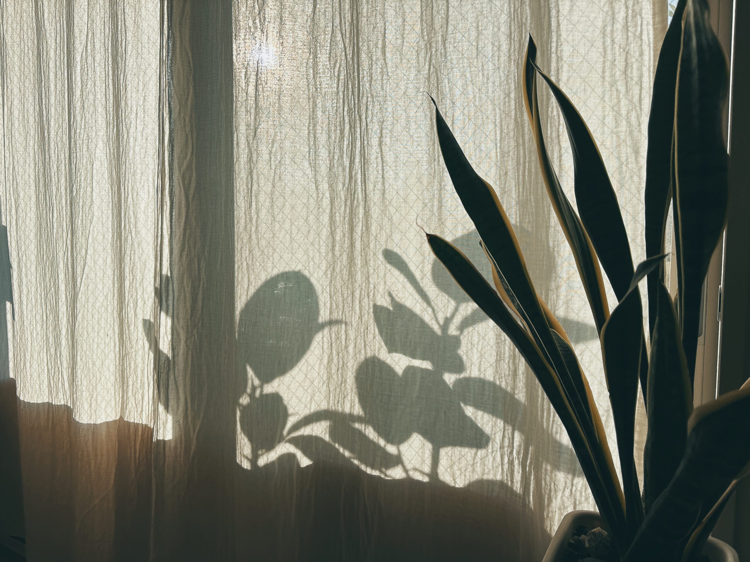 朝日の入るリビング