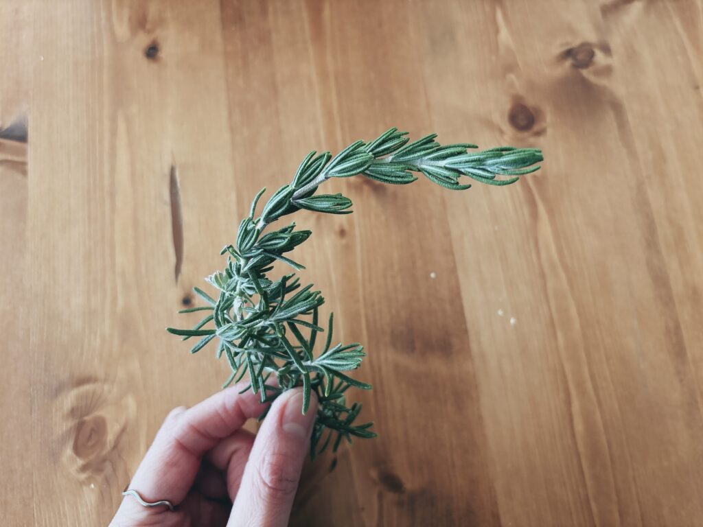 少し切ってきました