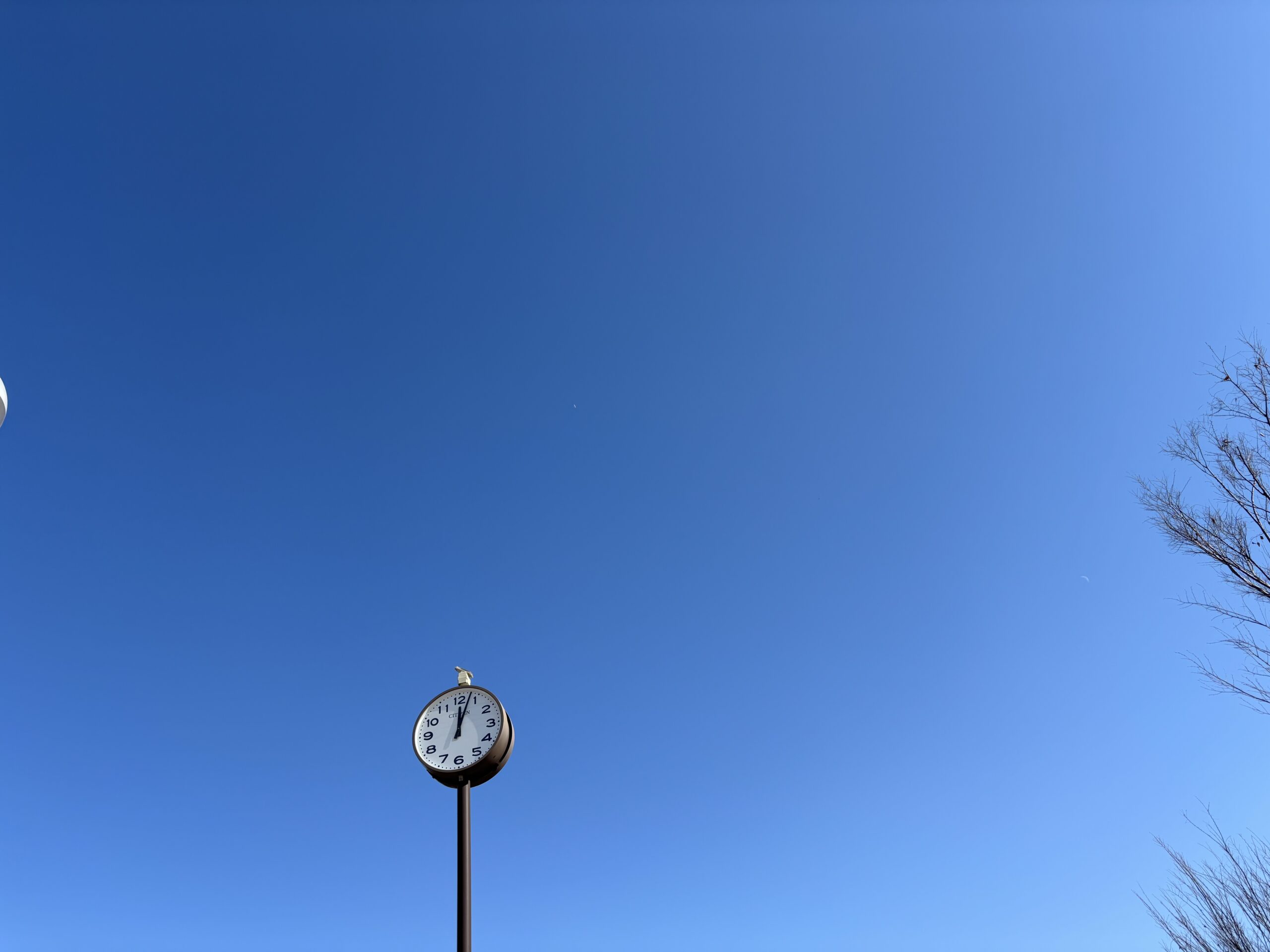 父と子供と公園