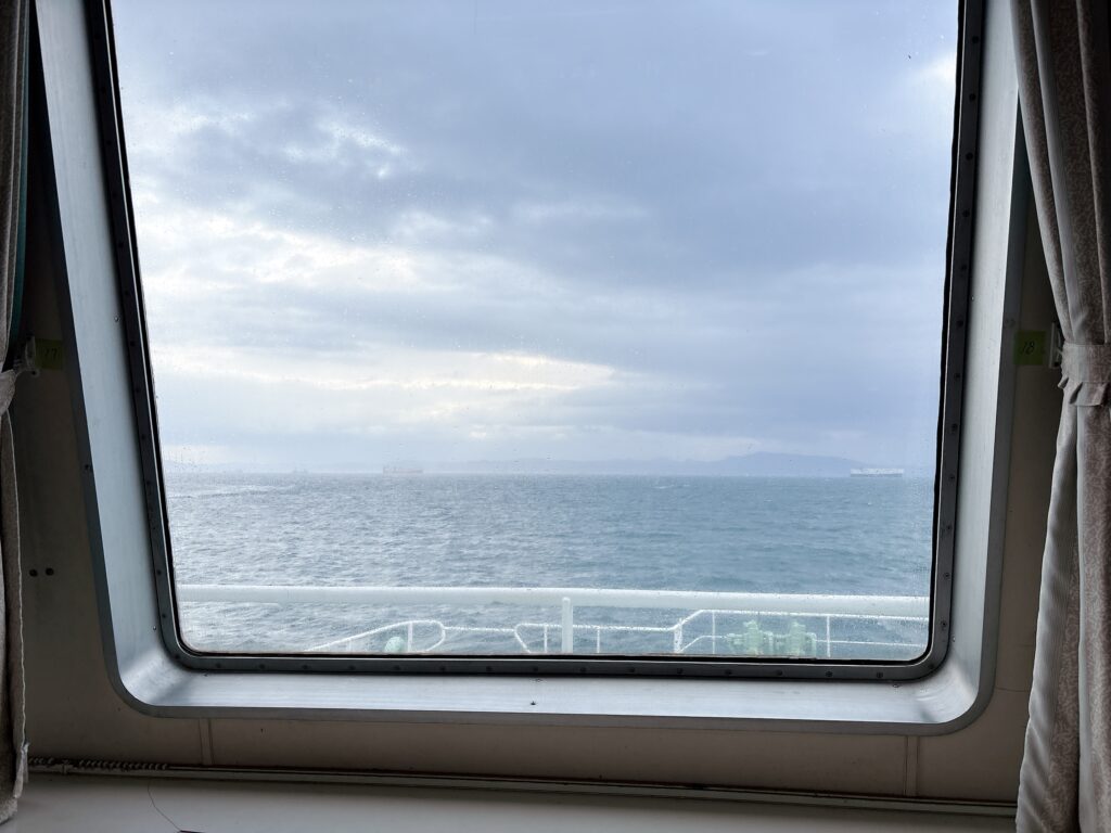 荒波でも出航してくれた東京湾フェリー