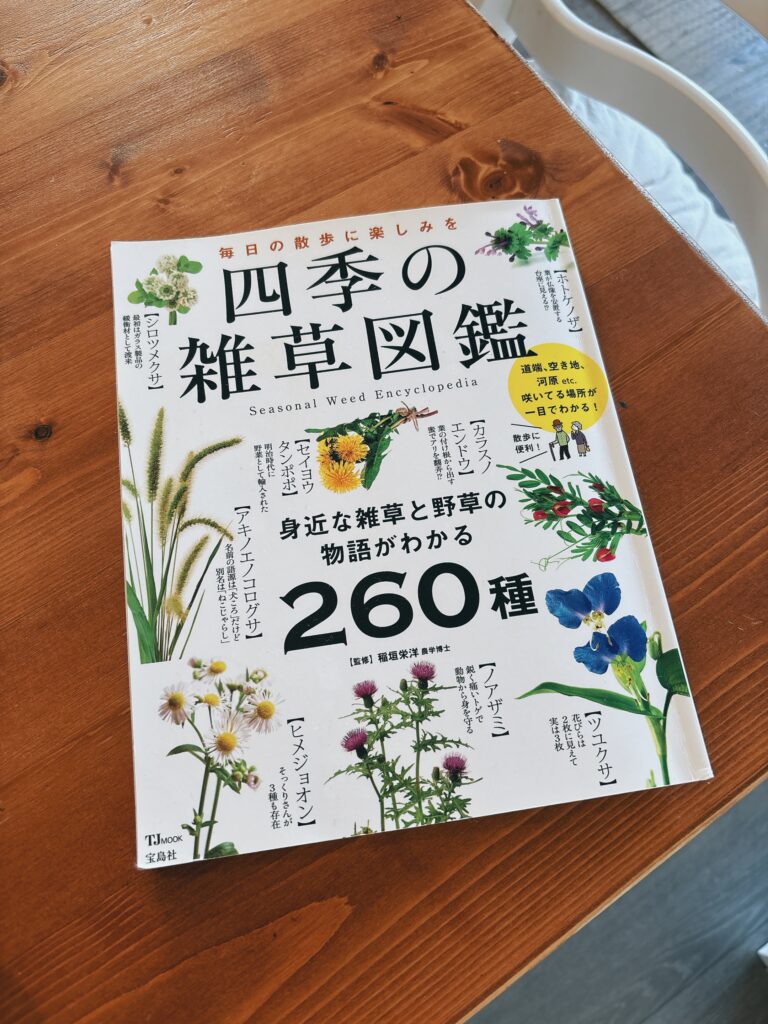 四季の雑草図鑑