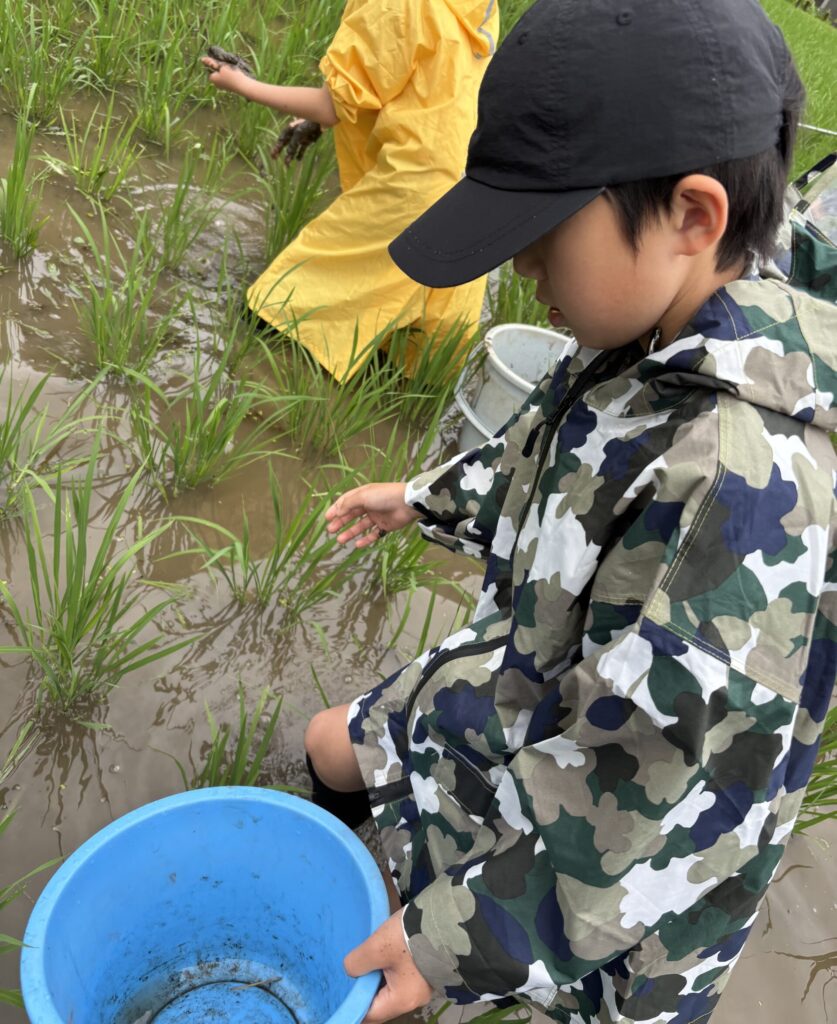 手で除草