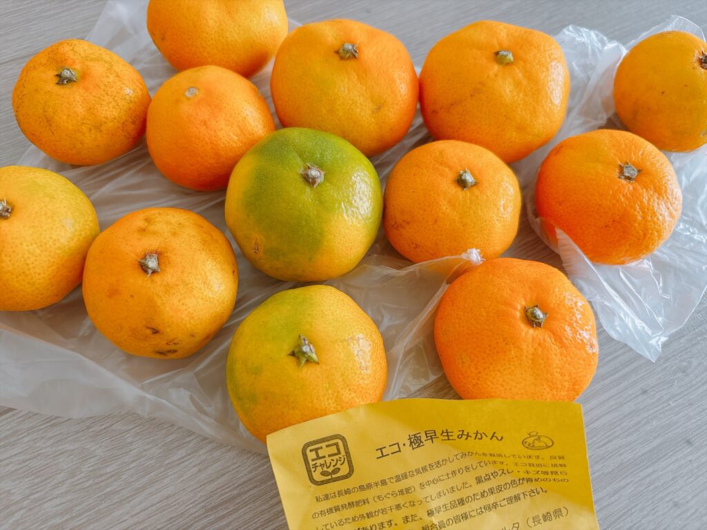 エコ・極早生みかん